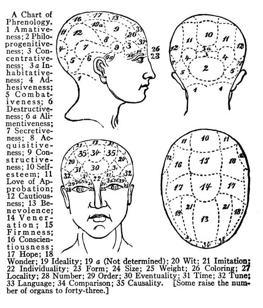 diagram of a head has various areas labeled