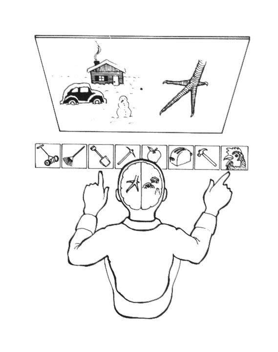 A person sits in a split-brain testing apparatus