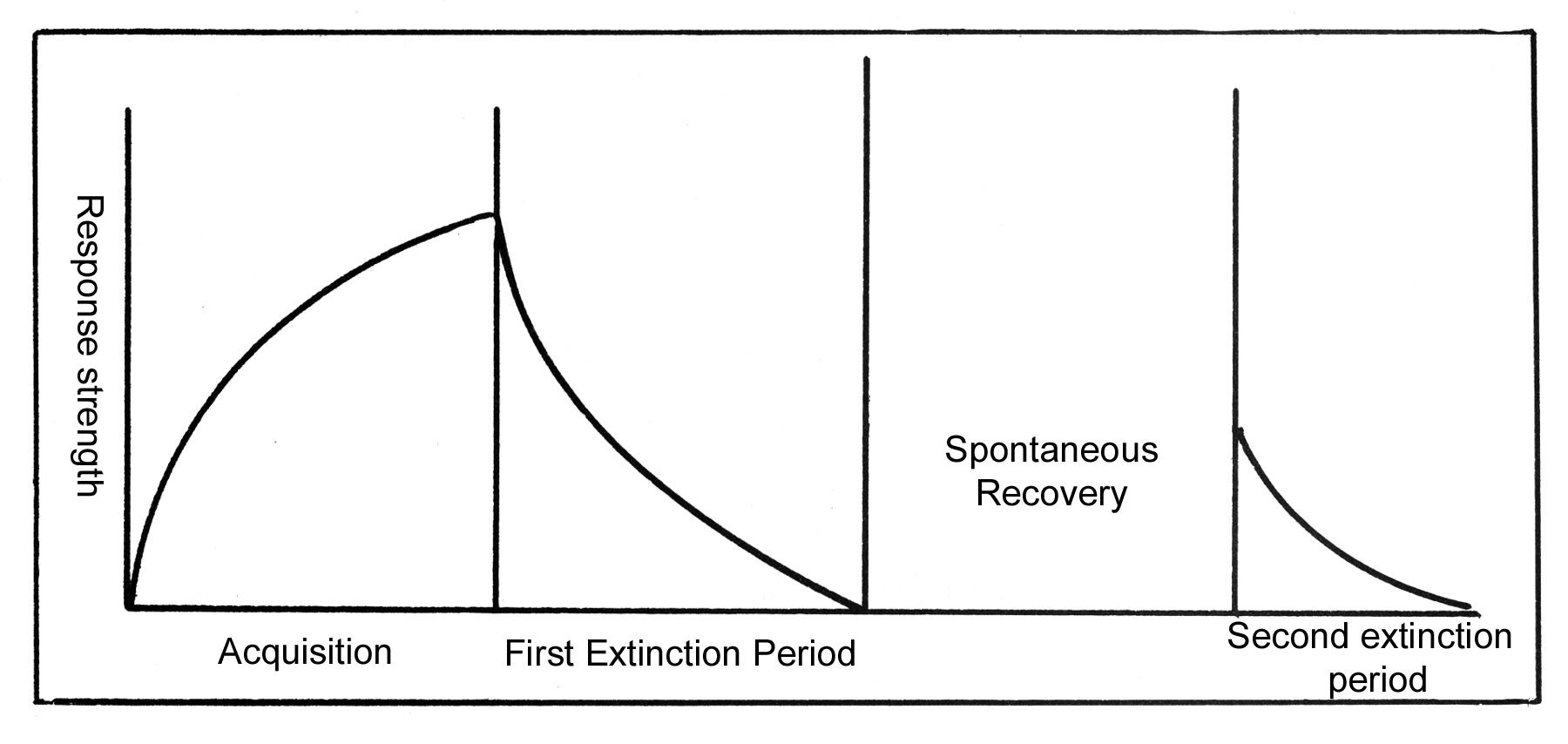 curve shows behavior coming back after extinction