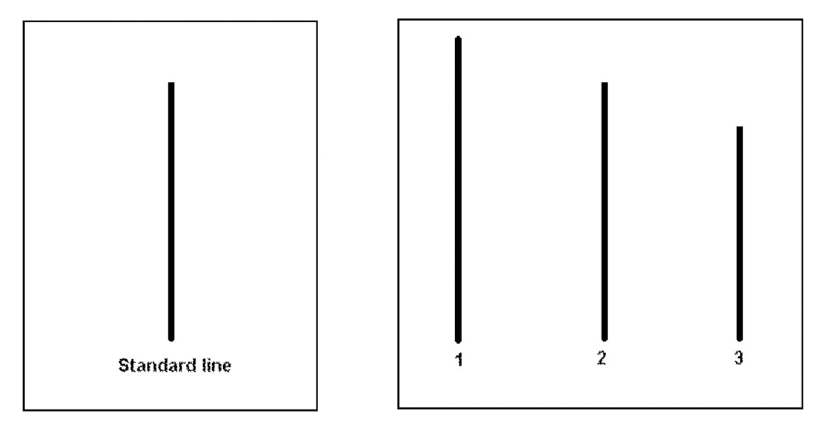 three lines of different height